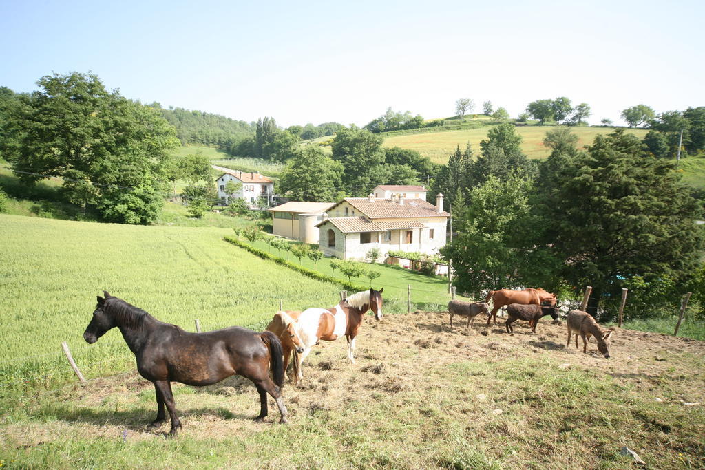 ピエトラルンガ Borgo Di Cortollaヴィラ エクステリア 写真